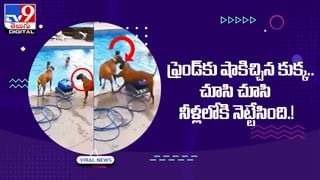 Viral Video: పెళ్లి స్టేజీపైనే వరుడుని.. పొట్టుపొట్టుగా కొట్టిన వధువు.. ఎందుకో తెలుసా  ??