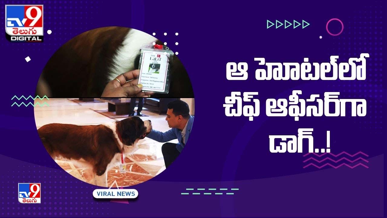 Viral Video: ఫైవ్‌స్టార్‌ హోటల్‌లో  చీఫ్‌ ఆఫీసర్‌గా డాగ్‌ !! పెద్ద జీతంతో పాటుగా