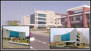 Health Benefits : సర్వ ఔషది చెంచలి కూర.. తింటే ఎన్ని లాభాలో.. 100 ఏళ్లు దాటినా సరే..