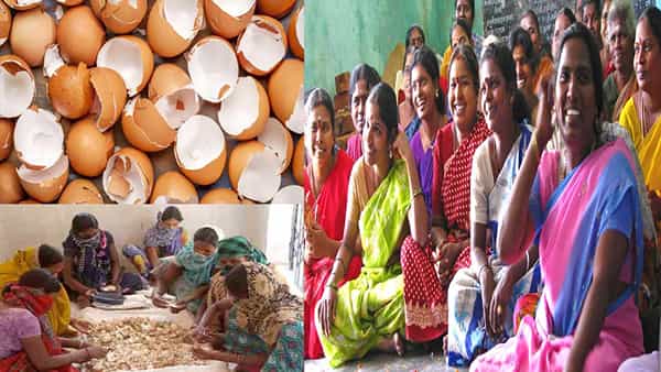 Inspiring Story: కోడి గుడ్డు పెంకులతో కాల్షియం, పౌడర్ తయారీ.. ఏడాదికి లక్షలు ఆర్జిస్తున్న అక్కడి మహిళలు..