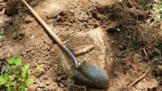 AP Employees: ఏపీ ప్రభుత్వం కీలక నిర్ణయం.. ఉద్యోగుల సాధారణ బదిలీల గడువు పొడిగింపు