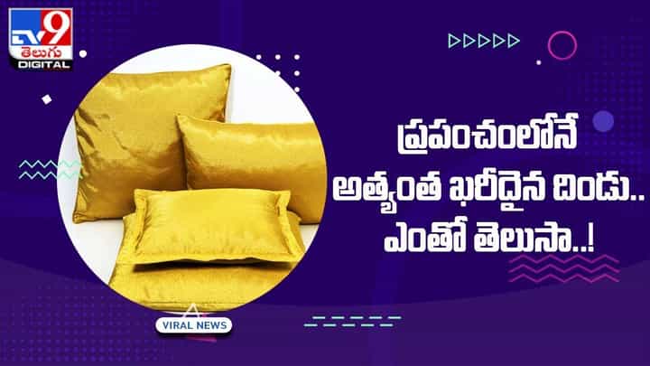 ప్రపంచంలోనే అత్యంత ఖరీదైన దిండు.. ఎంతో తెలుసా ?? ప్రపంచంలోనే అత్యంత ఖరీదైన దిండు.. ఎంతో తెలుసా ??