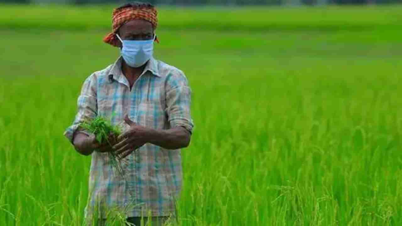 Farmers: రైతులకు గుడ్‌న్యూస్.. ఇకపై మొబైల్ ఫోన్లకే ఆ వివరాలు.. ఐఎండీ సరికొత్త నిర్ణయం..