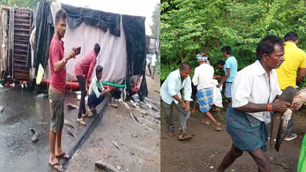 Viral: చేపల లోడ్తో వెళ్తున్న లారీ బోల్తా.. అరగంట తర్వాత అక్కడ ఒక్క ఫిష్ కనిపిస్తే ఒట్టు..