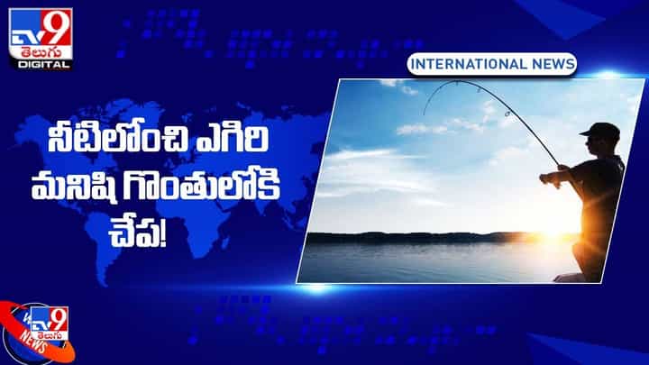 నీటిలోంచి ఎగిరి మనిషి గొంతులోకి చేప !! చివరికి ఏమైందంటే ?? నీటిలోంచి ఎగిరి మనిషి గొంతులోకి చేప !! చివరికి ఏమైందంటే ??