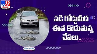 Viral Video: ఇదెక్కడి మాస్ డ్రైవింగ్ మావా.. బ్యాలెన్స్ తప్పితే బతుకు బస్టాండే!