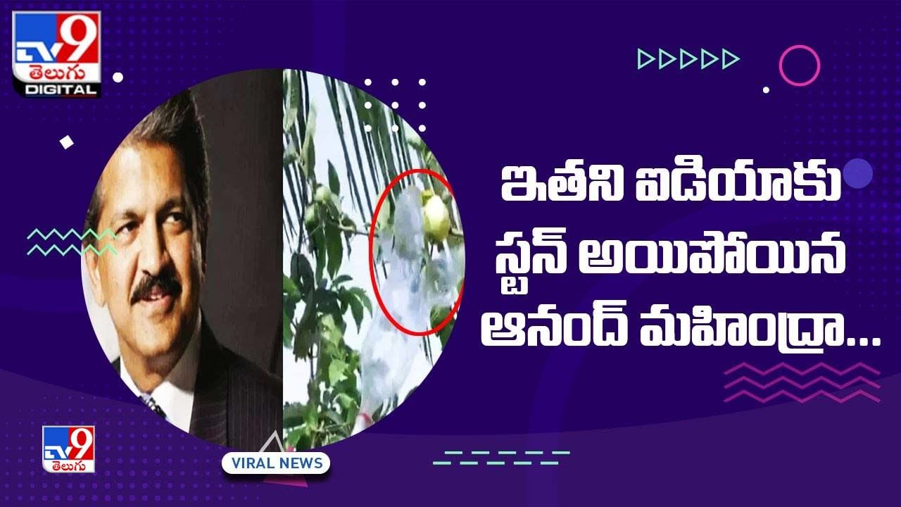 ఇతని ఐడియాకు స్టన్‌ అయిపోయిన ఆనంద్‌ మహింద్రా !! నెట్టింట వైరల్‌ అవుతున్న వీడియో