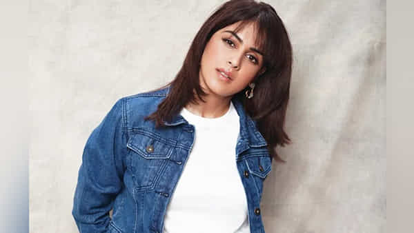 Genelia DSouza: మళ్లీ కెరీర్ పై ఫోకస్ పెట్టిన హాసిని.. ఈసారి బిగ్షాట్ సీఈవోగా రాబోతుందా ?..