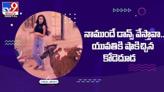 YouTube First Video: యూట్యూబ్‌లో అప్‌లోడ్ చేసిన మొట్ట మొదటి వీడియో ఇదే.. దీన్ని ఎప్పుడైనా చూశారా?