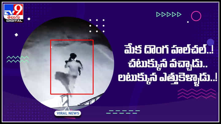 Goat: ఓరి ని దుంప తెగ..! చివరికి మెకాని కూడా వదలడం లేదు ఏంటి రా..! Goat: ఓరి ని దుంప తెగ..! చివరికి మెకాని కూడా వదలడం లేదు ఏంటి రా..!