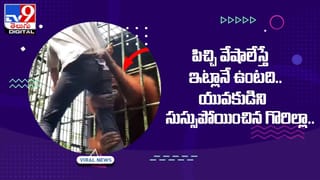 ఈ చిలుక ట్యాలెంట్‌ మామూలుగా లేదు.. ఎత్తిన కాయను దించకుండా..