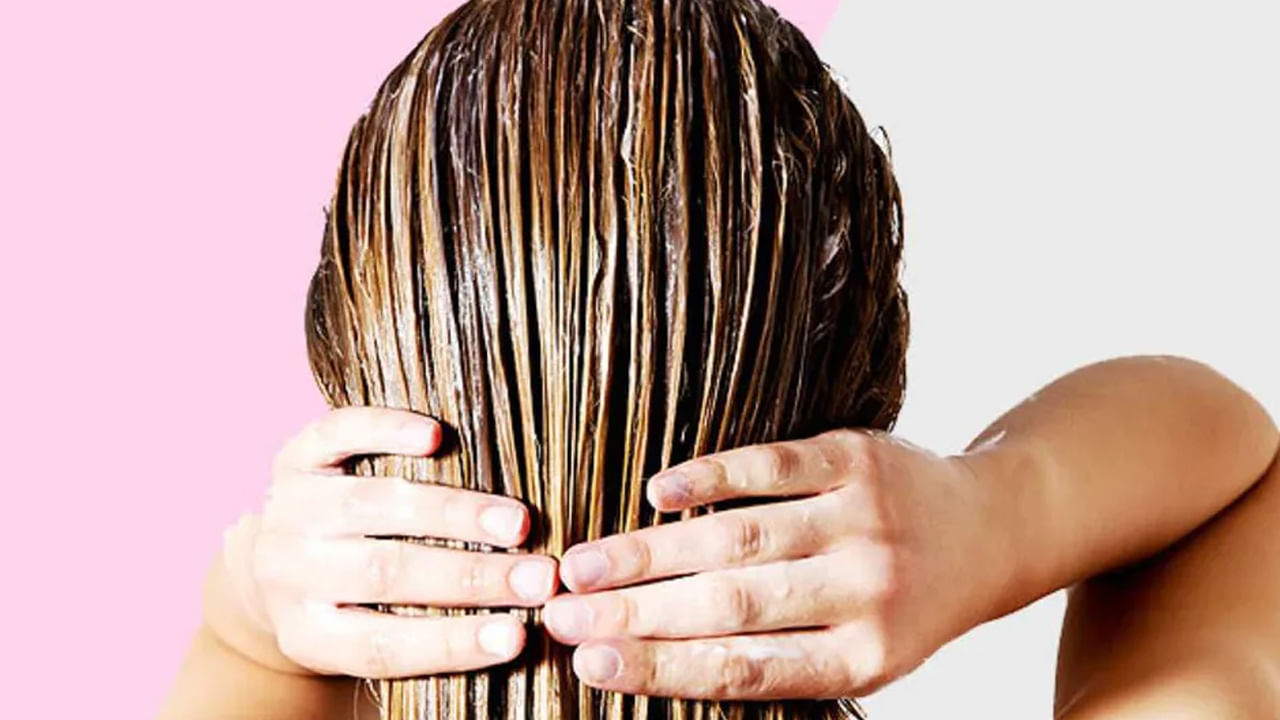 Hair Care Tips: జుట్టు సమస్యలకు చెక్‌పెట్టాలనుకుంటున్నారా? అయితే ఈ హెయిర్‌ మాస్క్‌లు ట్రై చేయండి..