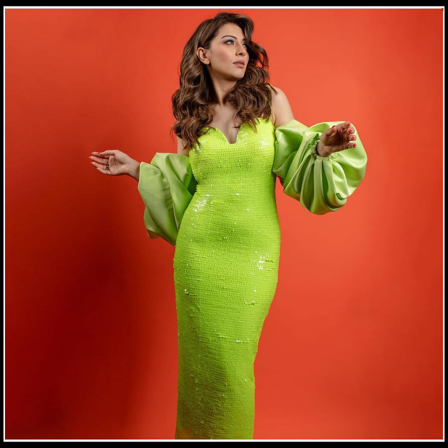 Hansika motwani: దాచలేని కలవరంతో కైపెక్కిస్తున్న 'హన్సిక' ఫొటోస్..