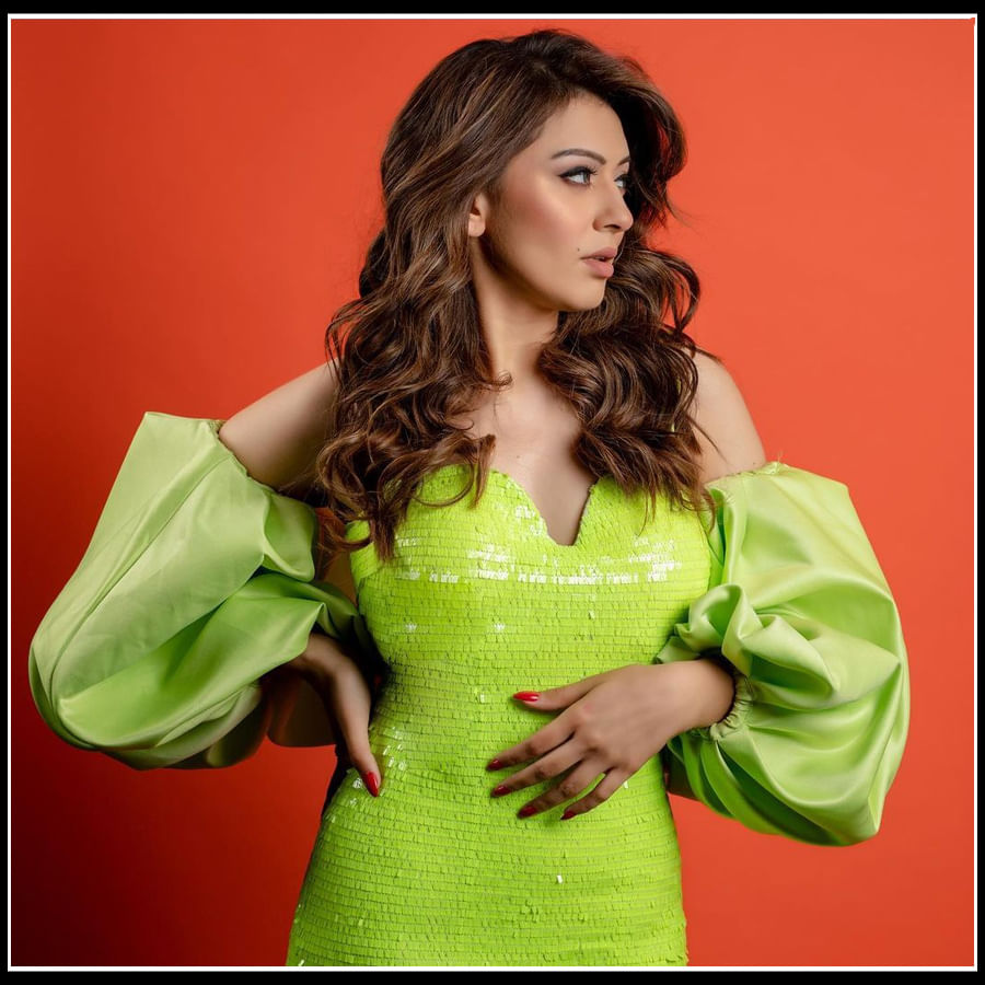 Hansika motwani: దాచలేని కలవరంతో కైపెక్కిస్తున్న 'హన్సిక' ఫొటోస్..