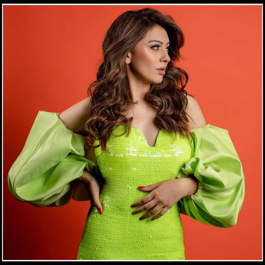 Hansika motwani: దాచలేని కలవరంతో కైపెక్కిస్తున్న 'హన్సిక' ఫొటోస్..