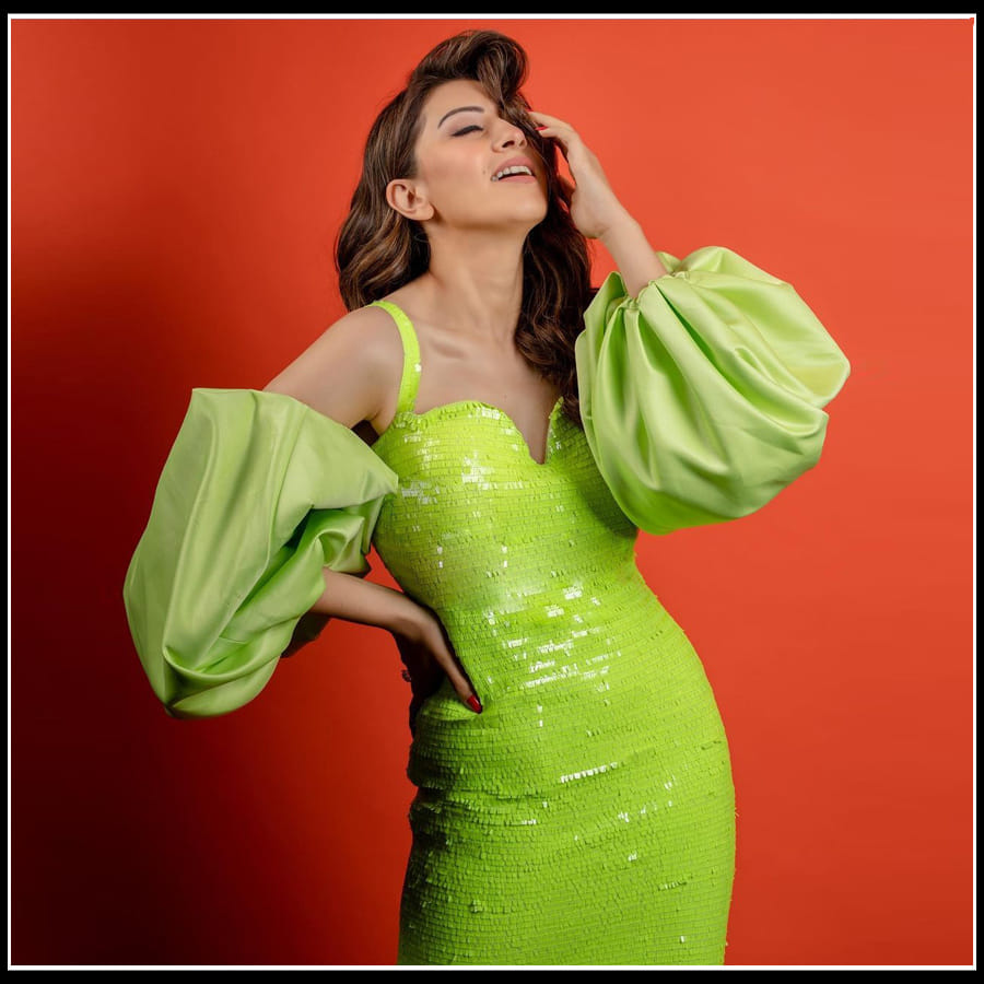 Hansika motwani: దాచలేని కలవరంతో కైపెక్కిస్తున్న 'హన్సిక' ఫొటోస్..