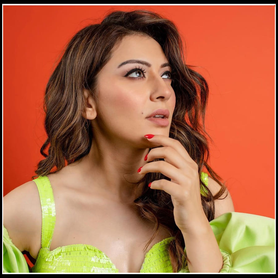 Hansika motwani: దాచలేని కలవరంతో కైపెక్కిస్తున్న 'హన్సిక' ఫొటోస్..