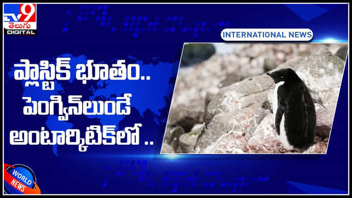 plastic in antartica: తొలిసారి ప్లాస్టిక్ భూతం.. పెంగ్విన్లుండే అంటార్కిటిక్లో .. plastic in antartica: తొలిసారి ప్లాస్టిక్ భూతం.. పెంగ్విన్లుండే అంటార్కిటిక్లో ..