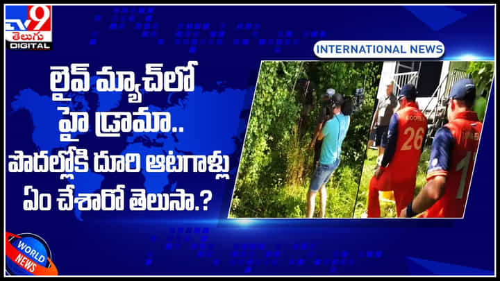 fun in cricket: లైవ్ మ్యాచ్లో హై డ్రామా.. పొదల్లోకి దూరి ఆటగాళ్లు ఏం చేశారో తెలుసా.? fun in cricket: లైవ్ మ్యాచ్లో హై డ్రామా.. పొదల్లోకి దూరి ఆటగాళ్లు ఏం చేశారో తెలుసా.?