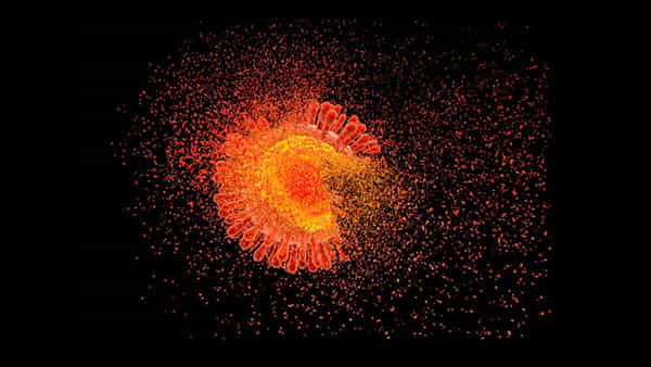 HIV-AIDS: వైద్యశాస్త్రంలో మరో కీలక ముందడుగు.. ఒక్క ఇంజెక్షన్తో ఎయిడ్స్ ఖతం
