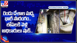 Largest plant: వింతల్లో కెల్లా వింత.! నీటి అడుగున మొక్క..  పొడవు 180 కి.మీ..  వయసు 4,500 ఏళ్లు..