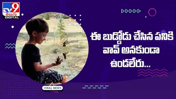 ప్రపంచంలోనే ఇది అతి చిన్న పక్షి ఆకలి తీరుస్తున్న బుడ్డొడు.. వీడియో చూస్తే ఫిదా అవాల్సిందే ప్రపంచంలోనే ఇది అతి చిన్న పక్షి ఆకలి తీరుస్తున్న బుడ్డొడు.. వీడియో చూస్తే ఫిదా అవాల్సిందే
