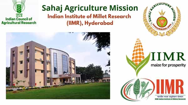 ICAR - IIMR Hyderabad Jobs 2022: హైదరాబాద్లోని ఐకార్ - ఇండియన్ ఇన్స్టిట్యూట్ ఆఫ్ మిల్లెట్స్ రీసెర్చ్లో ఉద్యోగాలు..అర్హతలివే..