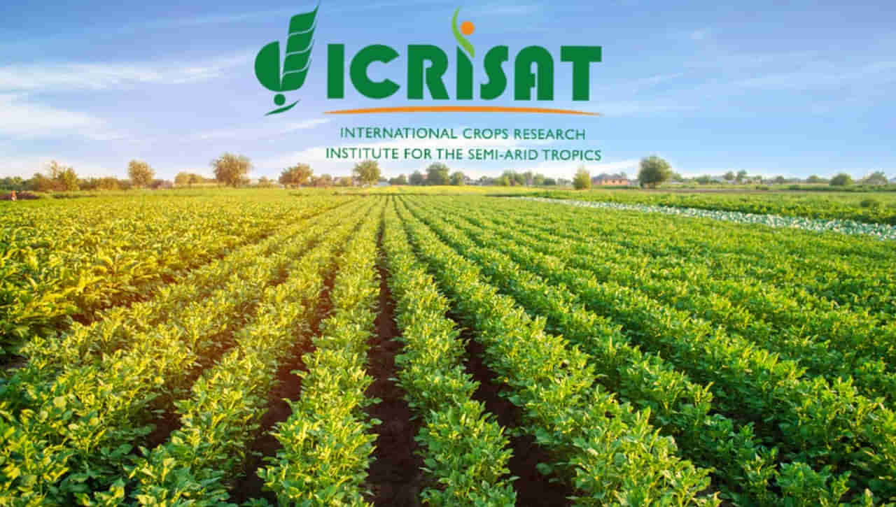 ICRISAT Recruitment: హైదరాబాద్‌ ఇక్రిశాట్‌లో బీటెక్‌ అభ్యర్థులకు ఉద్యోగాలు... ఇలా దరఖాస్తు చేసుకోండి..