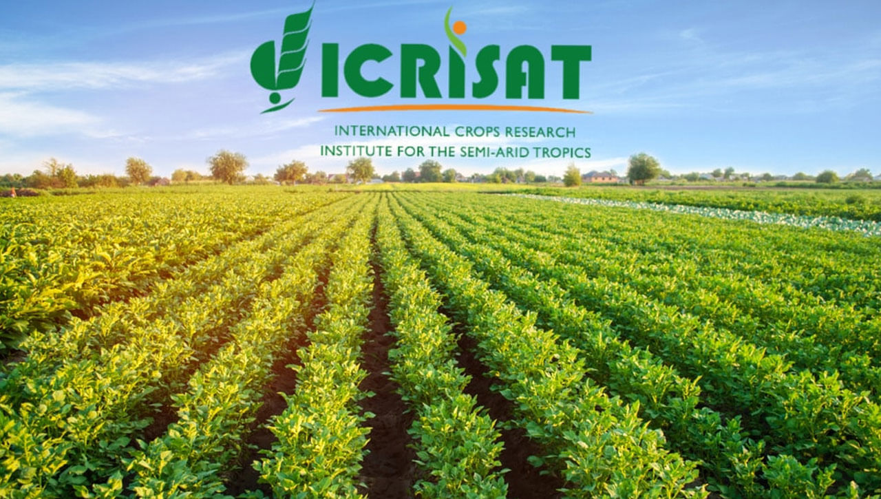 ICRISAT Recruitment: హైదరాబాద్‌ ఇక్రిశాట్‌లో బీటెక్‌ అభ్యర్థులకు ఉద్యోగాలు... ఇలా దరఖాస్తు చేసుకోండి..