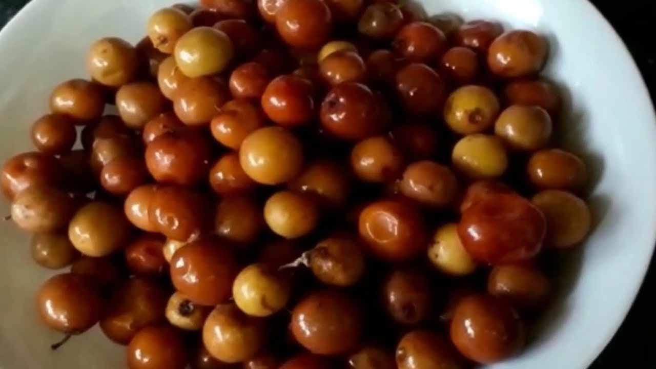 Benefits of Plum సీజనల్ పండు రేగు పండులో పోషకాలు మెండు.. మహిళల ఆరోగ్యానికి ఎంతో మేలు.. మిస్