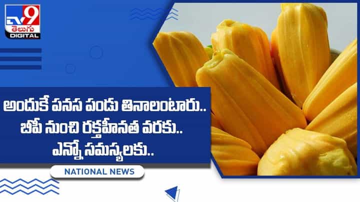 అందుకే పనస పండు తినాలంటారు.. బీపీ నుంచి రక్తహీనత వరకు.. ఎన్నో సమస్యలకు.. అందుకే పనస పండు తినాలంటారు.. బీపీ నుంచి రక్తహీనత వరకు.. ఎన్నో సమస్యలకు..