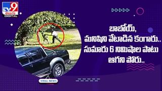 ప్రేమంటే ఇదేరా .. ఏకంగా ఈదుకుంటూ దేశ సరిహద్దునే దాటిన యువతి