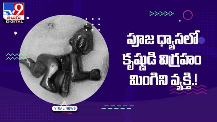 పూజ ధ్యాసలో పడి కృష్ణుడి విగ్రహం మింగిని వ్యక్తి !! చివరికి ఏమైందంటే ?? పూజ ధ్యాసలో పడి కృష్ణుడి విగ్రహం మింగిని వ్యక్తి !! చివరికి ఏమైందంటే ??