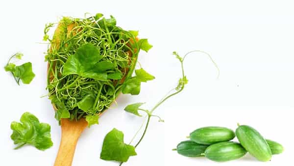 Diabetes control: మధుమేహం బాధితులకు వరం.. దొండాకులతో షుగర్ లెవల్స్ అదుపులో..