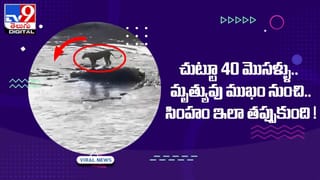 ఆ సమాధి పై ఎరుపు రంగు హెచ్చరిక !! తెరిచారో అంతే సంగతులు !!