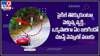 Dog Ice Cream: అబ్బా..! కుక్కలకు స్పెషల్ ఐస్ క్రీమ్.. శునకాలే డెలివరీ.. ఎక్కడంటే..