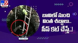 Digital TOP 9 NEWS: నాన్న కొడతాడని పెరట్లో దాక్కున్న చిన్నారి | వరుడి డాన్స్‌..ఊహించని షాక్‌