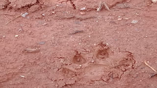 Atmakur By Poll Results: ఆత్మకూరు ఉప ఎన్నికల్లో ‘ఫ్యాన్’ హవా.. అఖండ విజయం సాధించిన విక్రమ్ రెడ్డి..