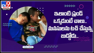 Viral Video : ఇది నా ప్లేస్… బయటకొస్తే తొక్కేస్తా.. ! ఓ పిల్లికి మరో పిల్లి స్ట్రాంగ్‌ వార్నింగ్‌.. వైరలవుతున్న వీడియో