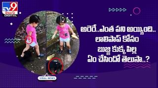 Viral Photo: మీటర్ లేచుద్ది.. తికమక పెట్టే పజిల్.. ఈ ఫోటోలోని నెంబర్ ఏంటో కనిపెట్టండి!