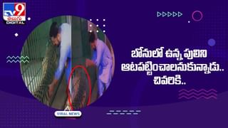 ఇదేం రివెంజ్‌రా సామీ.. బ్రేకప్ చెప్పిన ప్రేయసి ముఖంపై టాటూ !!