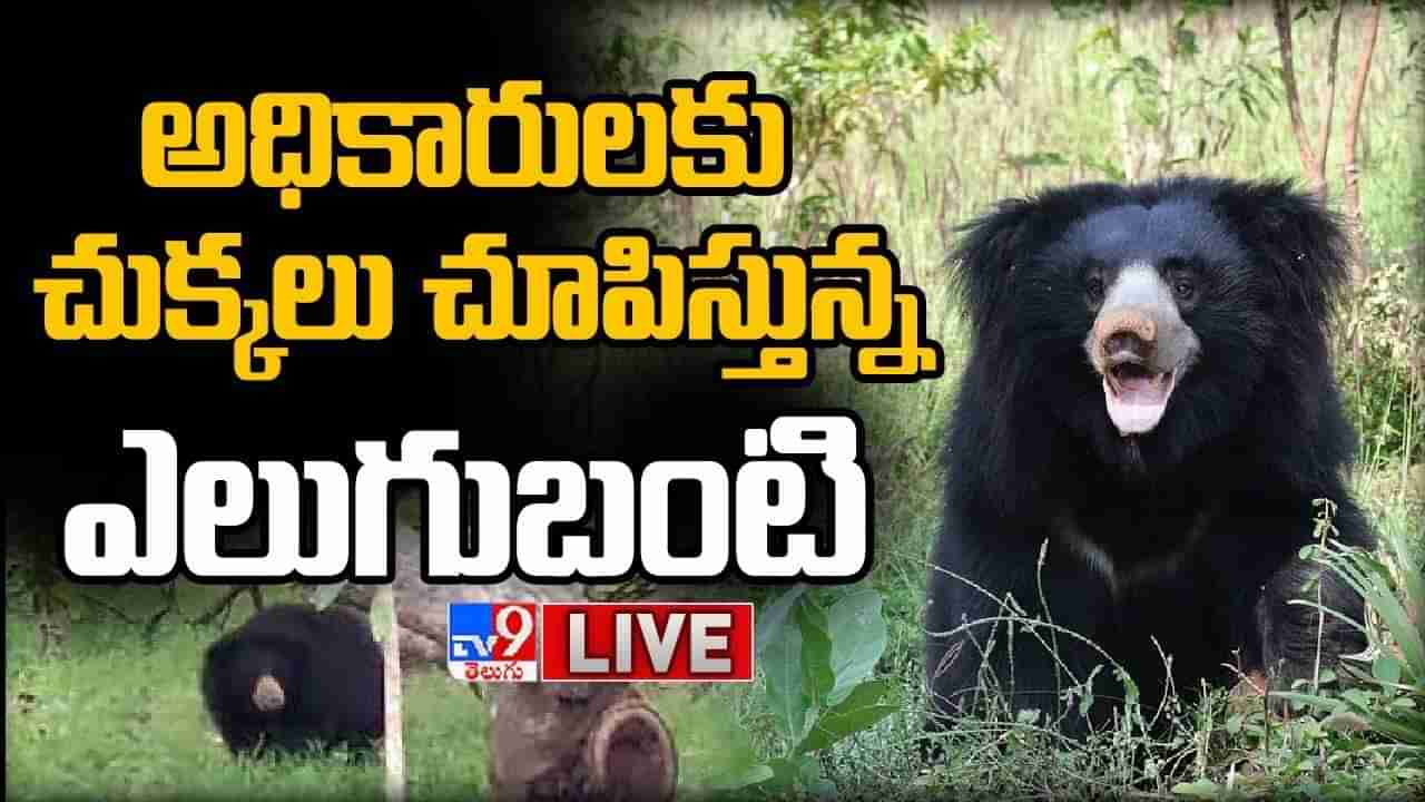 Search Operation For Bear: అధికారులకు చుక్కలు చూపిస్తున్న ఎలుగుబంటి..