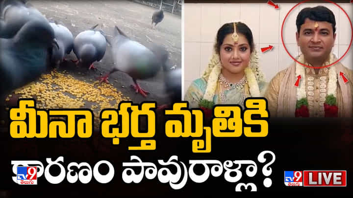 Meena Husband: మీనా భర్త మృతికి పావురాలే కారణమా ?? షాకింగ్ విషయాలు మీ కోసమే Meena Husband: మీనా భర్త మృతికి పావురాలే కారణమా ?? షాకింగ్ విషయాలు మీ కోసమే