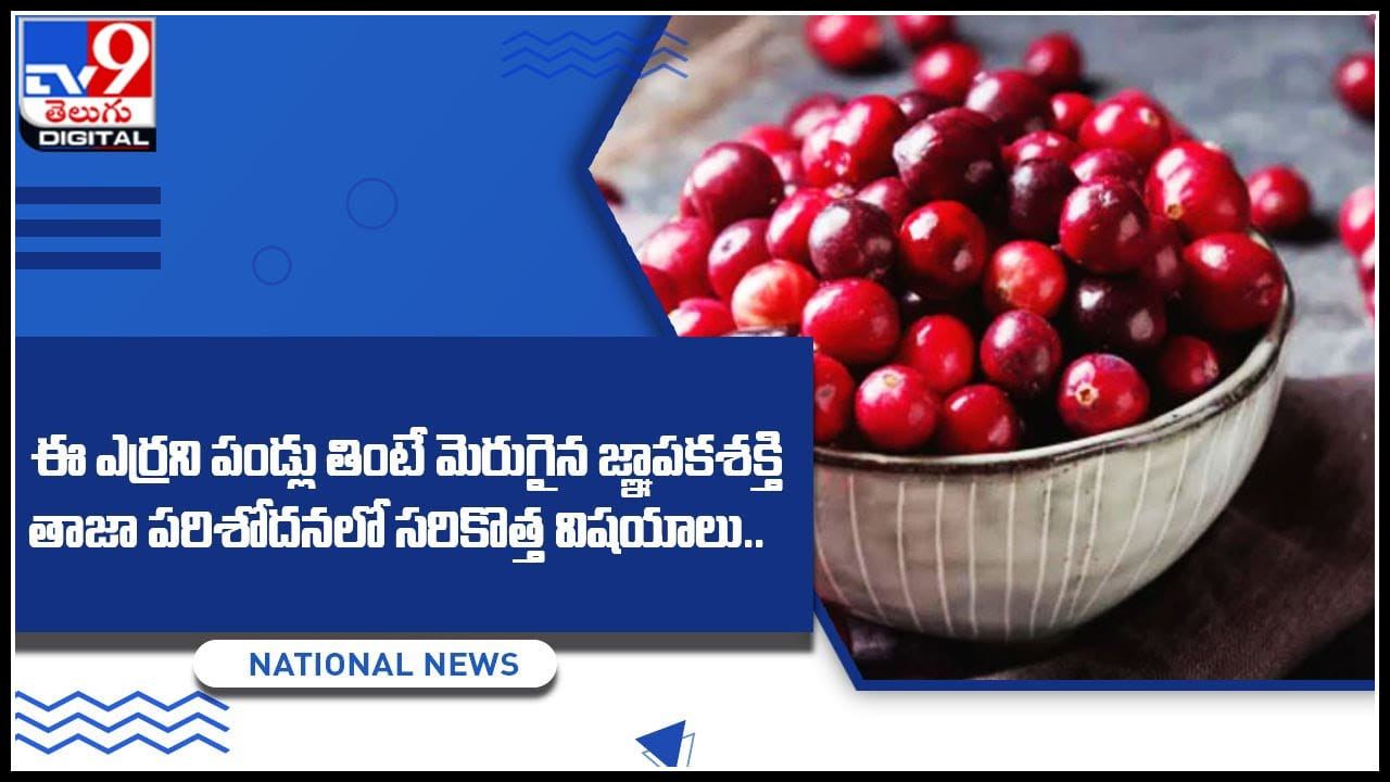 Boost Memory ఈ ఎర్రని పండ్లు తింటే మెరుగైన జ్ఞాపకశక్తి.. తాజా