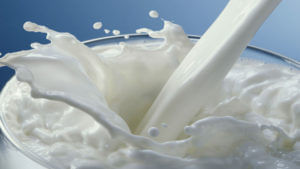 Milk Benefits: పాలలో ఇవి కలుపుకొని తాగితే డబుల్ హెల్త్ బెనిఫిట్స్.. తప్పనిసరిగా తెలుసుకోండి..