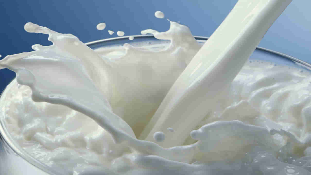 Milk Substitutes: పాలు తాగడం ఇష్టం లేదా..? అయితే.. ఈ ఏడు పదార్థాలను రెగ్యులర్‌గా తీసుకోండి..