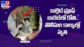 గుడ్లు పెడుతున్న బండ రాయి !! చూసేందుకు పరుగులు పెడుతున్న జనం