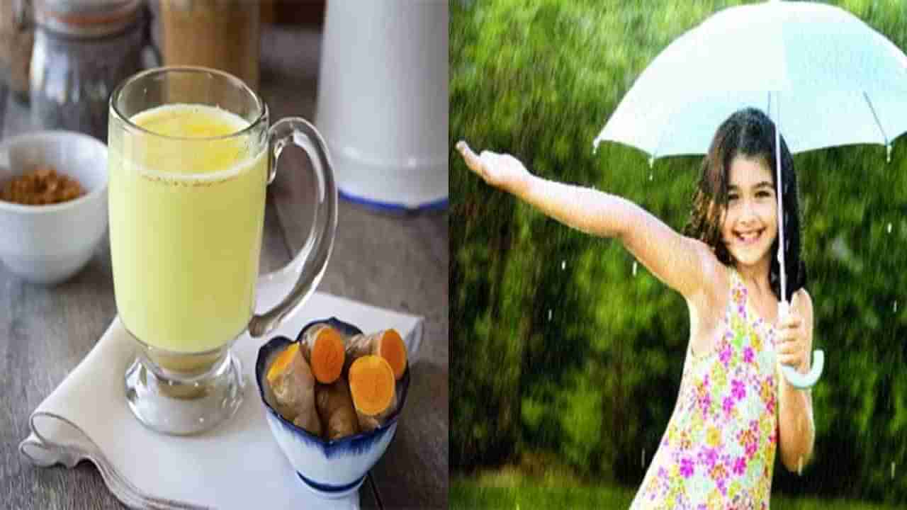 Monsoon Diet: వర్షాకాలంలో ఈ ఐదు రకాల ఫుడ్స్‌ను మీ డైట్‌లో చేర్చుకోండి.. సీజనల్ వ్యాధులకు చెక్ పెట్టండి..