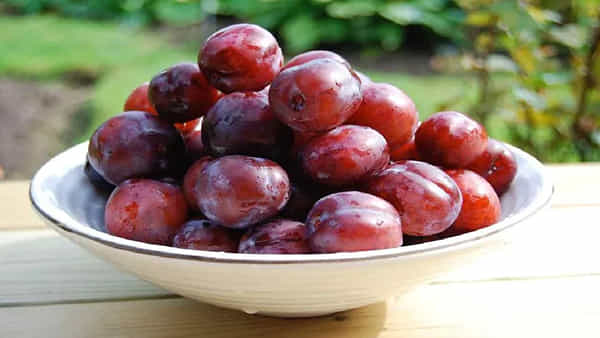 Monsoon Diet Tips: వర్షాకాలం వ్యాధుల నుంచి తప్పించుకోవాలంటే ఈ పండ్లను మెనూలో చేర్చుకోవాల్సిందే.. ఎందుకో తెలుసా?