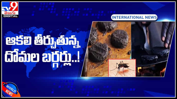 Mosquito Burgers: దోమల బర్గర్లు ఎప్పుడైనా తిన్నారా..? దోమల్లో మాంసం కంటే 7 రెట్లు ఎక్కువ ప్రొటీన్లు.? Mosquito Burgers: దోమల బర్గర్లు ఎప్పుడైనా తిన్నారా..? దోమల్లో మాంసం కంటే 7 రెట్లు ఎక్కువ ప్రొటీన్లు.?